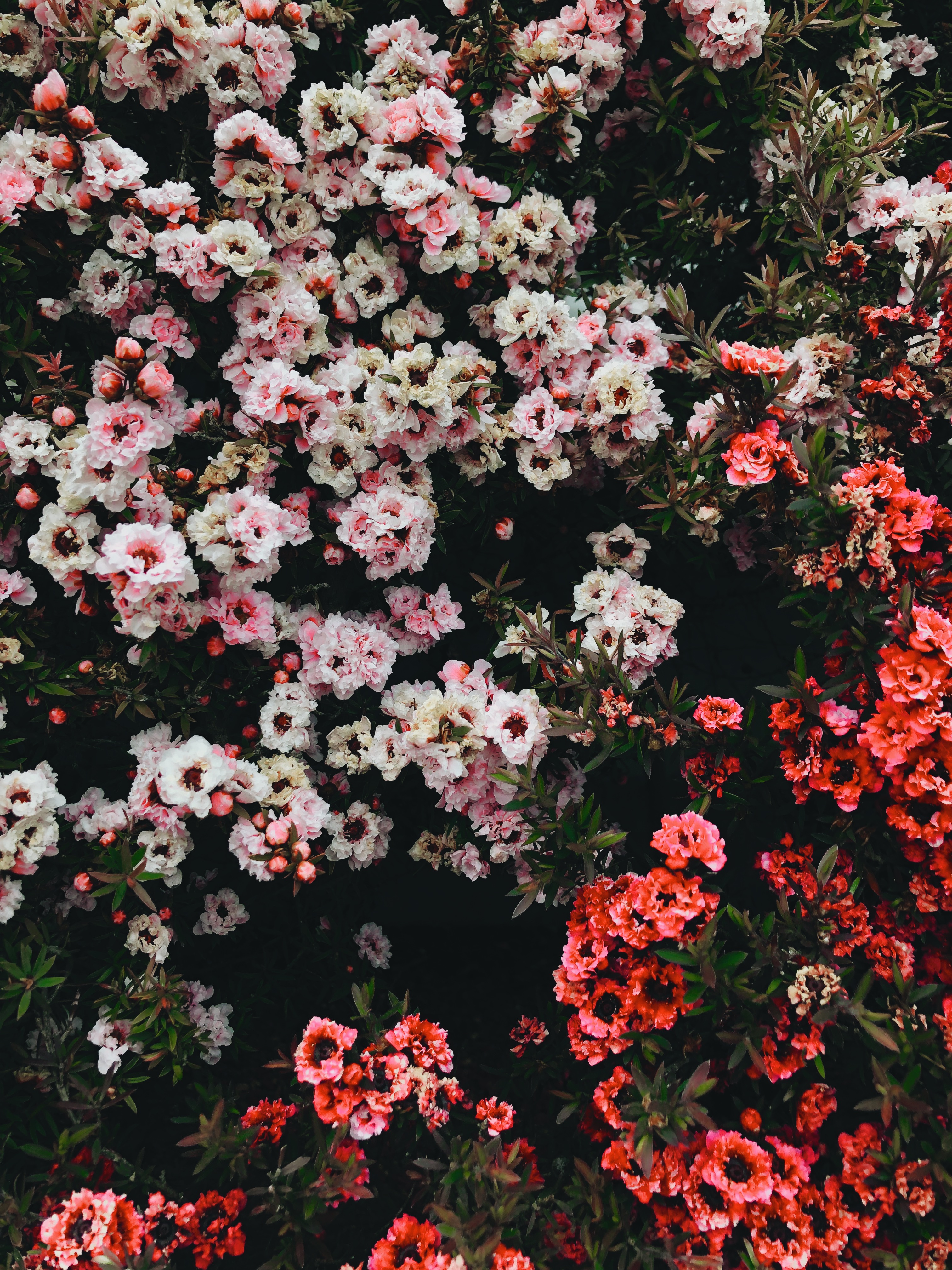 Photo Album Image: Random Amusings